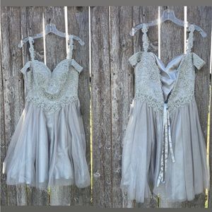 Cinderella Divine Grey Dress, Size Small.